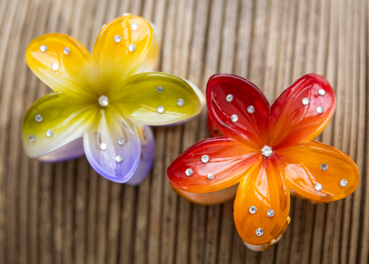 Haarspange Frangipani Glitzer